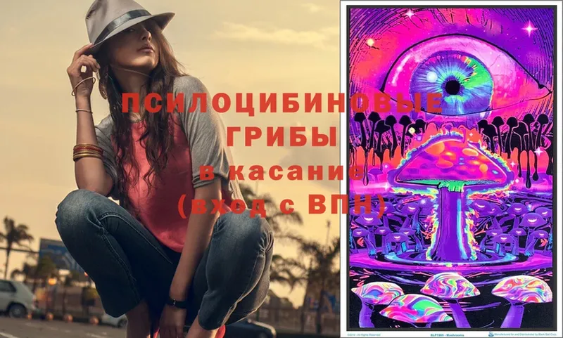 мега вход  Галич  Галлюциногенные грибы Magic Shrooms 